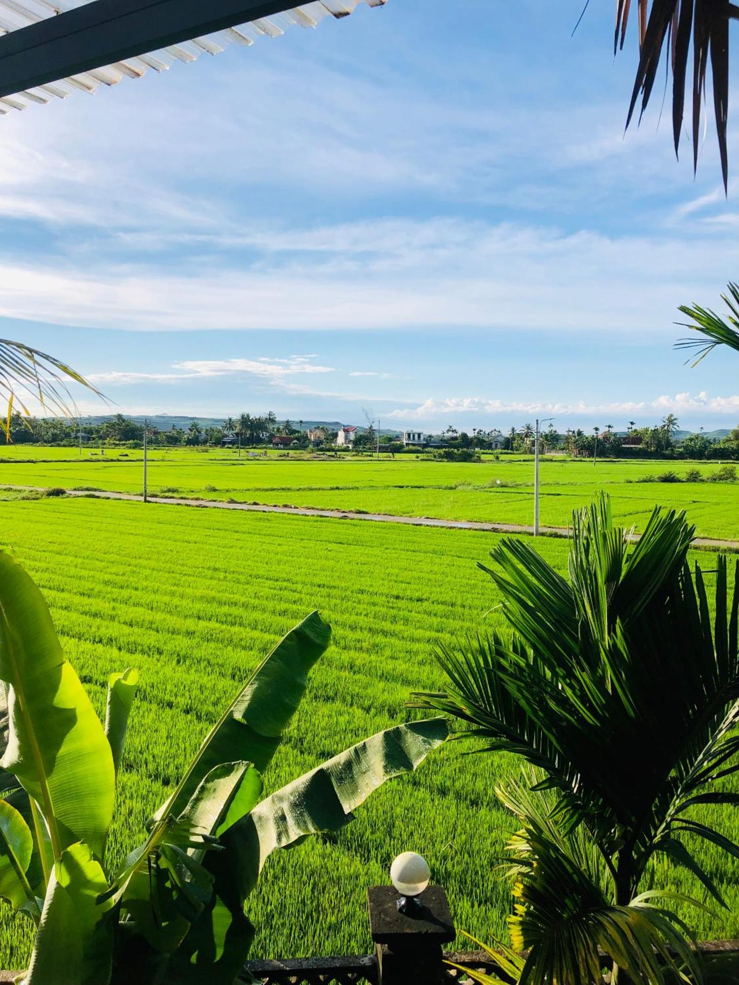 Countryside Homestay Куанг Нгай Екстериор снимка